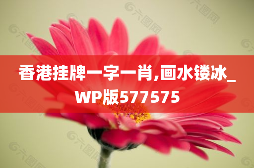 香港挂牌一字一肖,画水镂冰_WP版577575