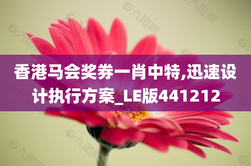 香港马会奖券一肖中特,迅速设计执行方案_LE版441212