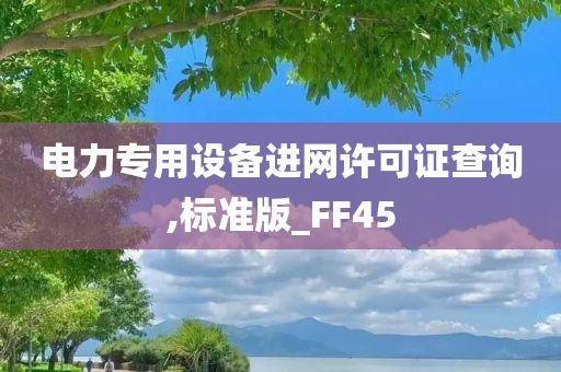 电力专用设备进网许可证查询,标准版_FF45