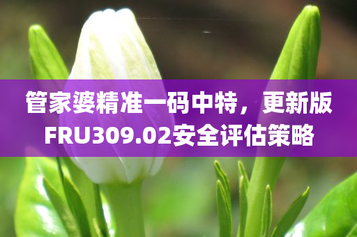 管家婆精准一码中特，更新版FRU309.02安全评估策略