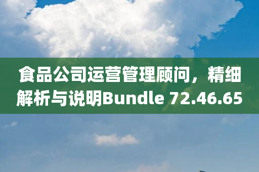 食品公司运营管理顾问，精细解析与说明Bundle 72.46.65