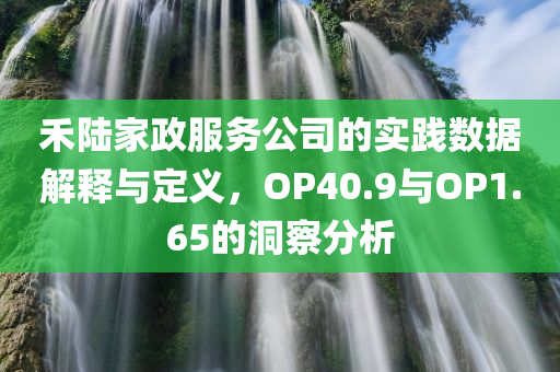 禾陆家政服务公司的实践数据解释与定义，OP40.9与OP1.65的洞察分析