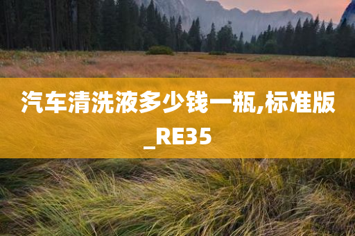 汽车清洗液多少钱一瓶,标准版_RE35