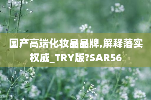 国产高端化妆品品牌,解释落实权威_TRY版?SAR56