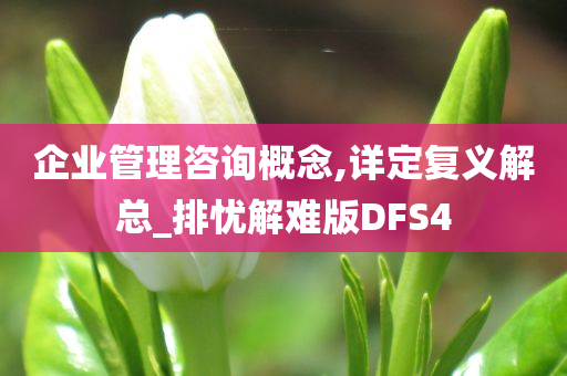 企业管理咨询概念,详定复义解总_排忧解难版DFS4