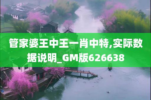 管家婆王中王一肖中特,实际数据说明_GM版626638