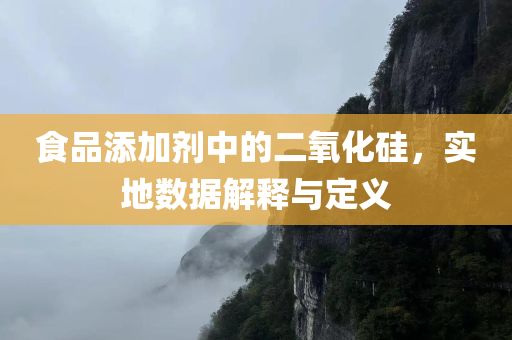 食品添加剂中的二氧化硅，实地数据解释与定义