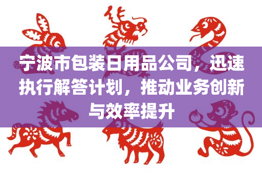 宁波市包装日用品公司，迅速执行解答计划，推动业务创新与效率提升