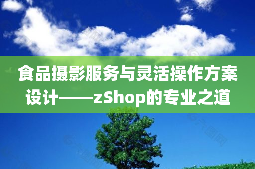 食品摄影服务与灵活操作方案设计——zShop的专业之道