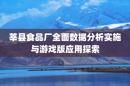 莘县食品厂全面数据分析实施与游戏版应用探索