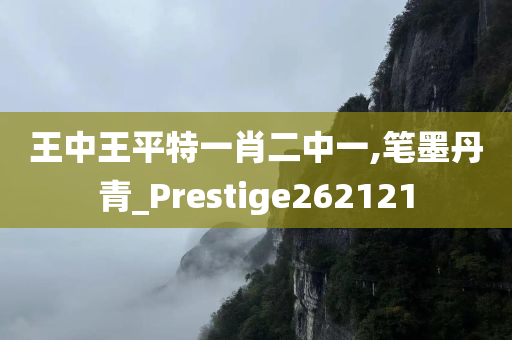 王中王平特一肖二中一,笔墨丹青_Prestige262121