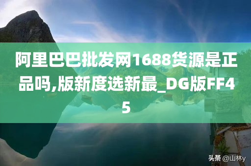 阿里巴巴批发网1688货源是正品吗,版新度选新最_DG版FF45