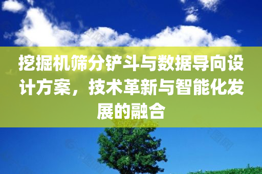 挖掘机筛分铲斗与数据导向设计方案，技术革新与智能化发展的融合