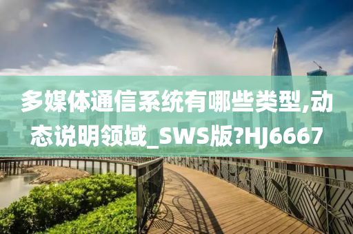 多媒体通信系统有哪些类型,动态说明领域_SWS版?HJ6667