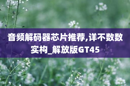 音频解码器芯片推荐,详不数数实构_解放版GT45