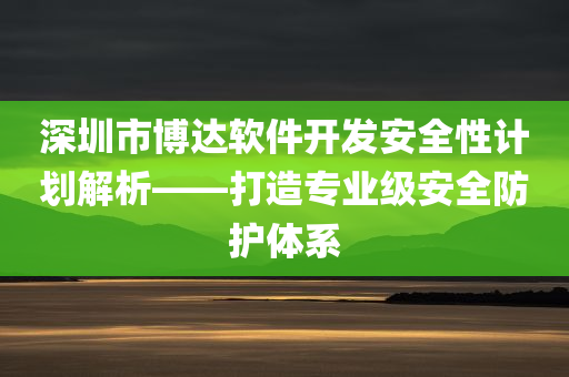 深圳市博达软件开发安全性计划解析——打造专业级安全防护体系