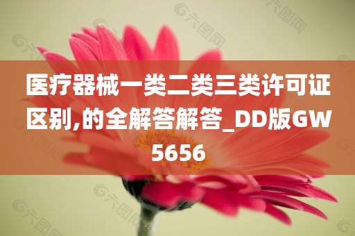 医疗器械一类二类三类许可证区别,的全解答解答_DD版GW5656