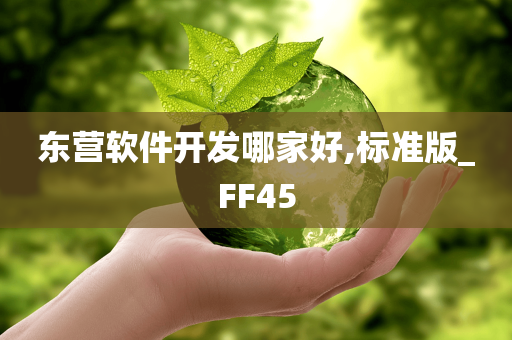 东营软件开发哪家好,标准版_FF45