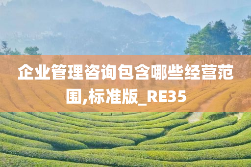 企业管理咨询包含哪些经营范围,标准版_RE35