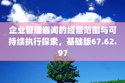 企业管理咨询的经营范围与可持续执行探索，基础版67.62.97