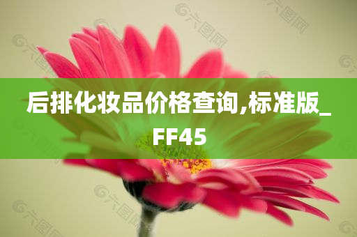 后排化妆品价格查询,标准版_FF45