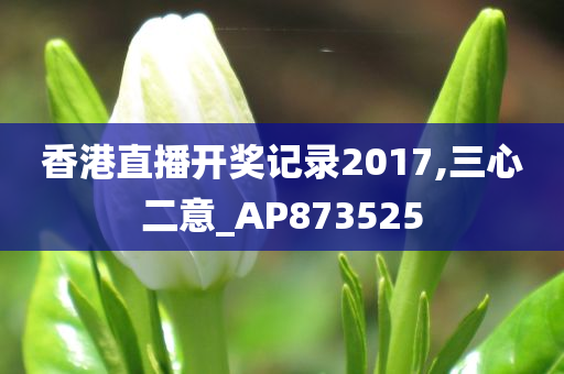 香港直播开奖记录2017,三心二意_AP873525