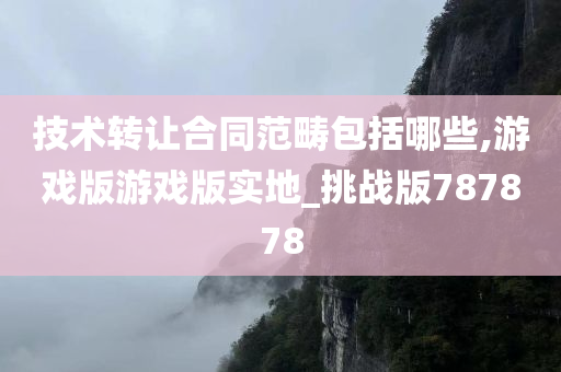 技术转让合同范畴包括哪些,游戏版游戏版实地_挑战版787878