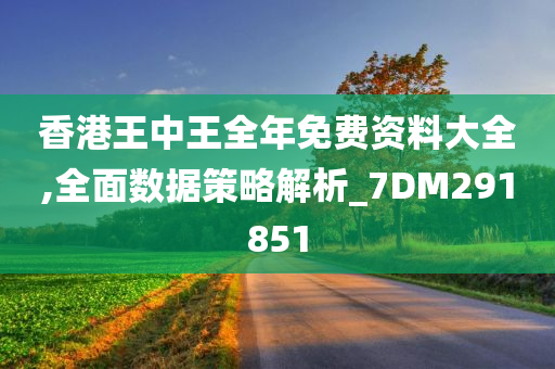 香港王中王全年免费资料大全,全面数据策略解析_7DM291851