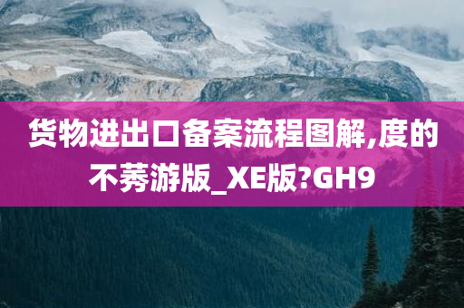 货物进出口备案流程图解,度的不莠游版_XE版?GH9