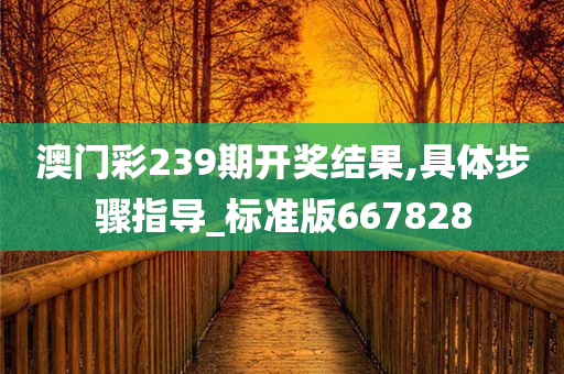 澳门彩239期开奖结果,具体步骤指导_标准版667828