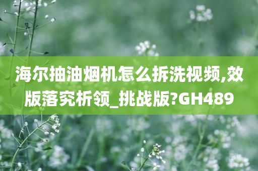 海尔抽油烟机怎么拆洗视频,效版落究析领_挑战版?GH489