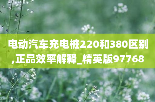 电动汽车充电桩220和380区别,正品效率解释_精英版97768