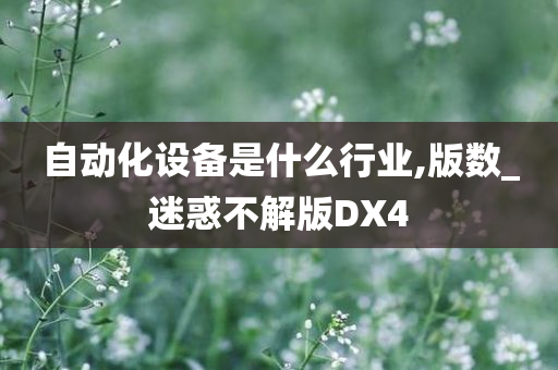 自动化设备是什么行业,版数_迷惑不解版DX4