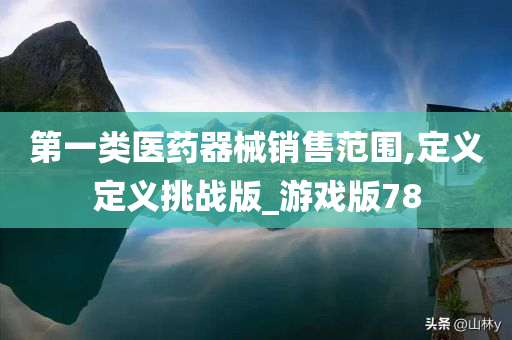 第一类医药器械销售范围,定义定义挑战版_游戏版78