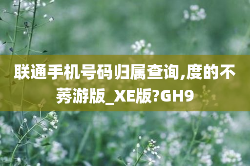 联通手机号码归属查询,度的不莠游版_XE版?GH9