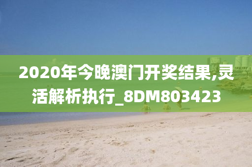 2020年今晚澳门开奖结果,灵活解析执行_8DM803423