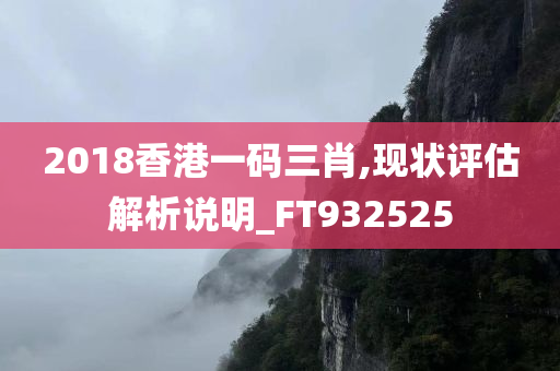 2018香港一码三肖,现状评估解析说明_FT932525