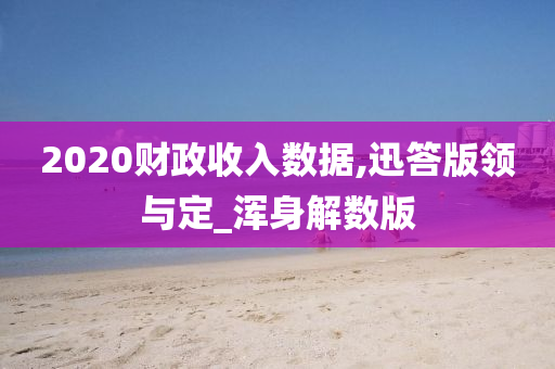 2020财政收入数据,迅答版领与定_浑身解数版