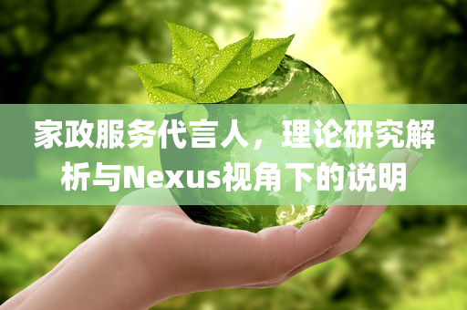 家政服务代言人，理论研究解析与Nexus视角下的说明