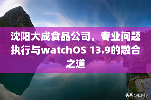 沈阳大成食品公司，专业问题执行与watchOS 13.9的融合之道