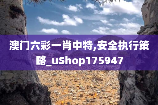 澳门六彩一肖中特,安全执行策略_uShop175947