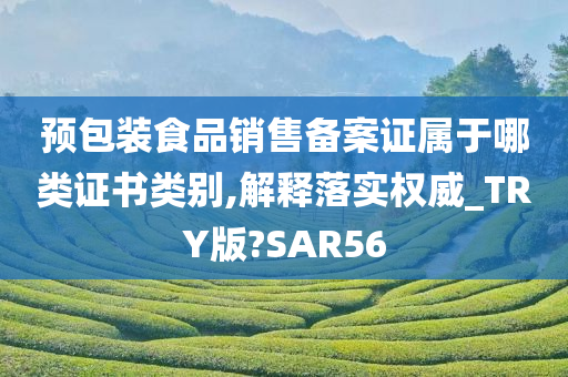 预包装食品销售备案证属于哪类证书类别,解释落实权威_TRY版?SAR56