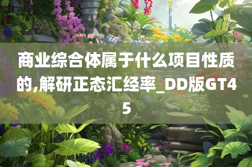 商业综合体属于什么项目性质的,解研正态汇经率_DD版GT45