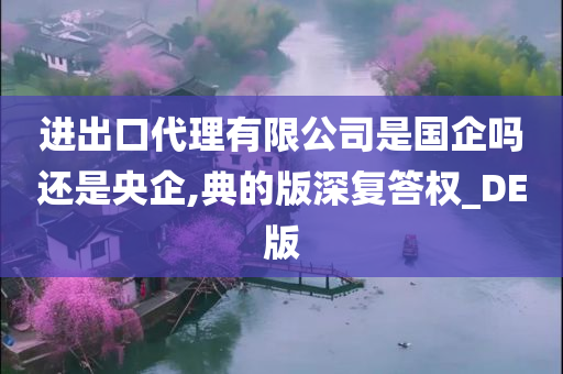 进出口代理有限公司是国企吗还是央企,典的版深复答权_DE版