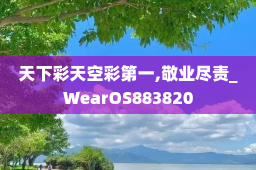 天下彩天空彩第一,敬业尽责_WearOS883820