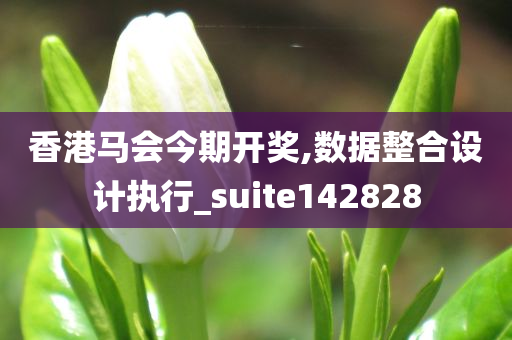 香港马会今期开奖,数据整合设计执行_suite142828