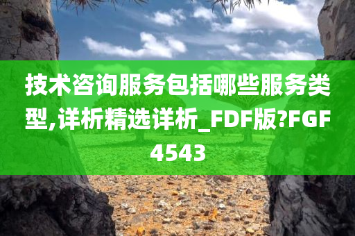 技术咨询服务包括哪些服务类型,详析精选详析_FDF版?FGF4543