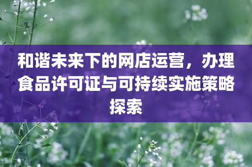 和谐未来下的网店运营，办理食品许可证与可持续实施策略探索