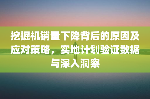 挖掘机销量下降背后的原因及应对策略，实地计划验证数据与深入洞察