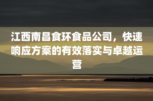 江西南昌食环食品公司，快速响应方案的有效落实与卓越运营